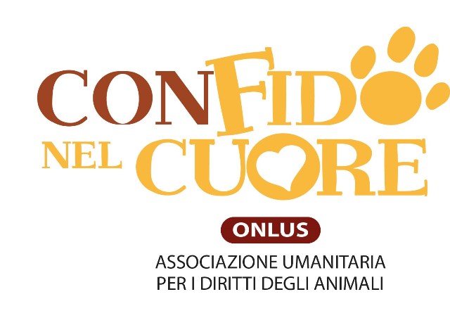 con fido nel cuore onlus